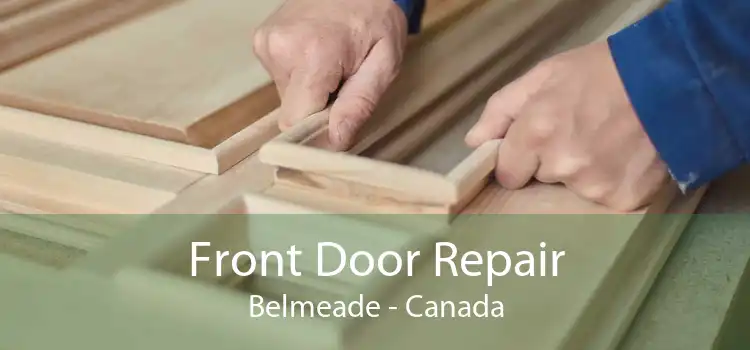 Front Door Repair Belmeade - Canada