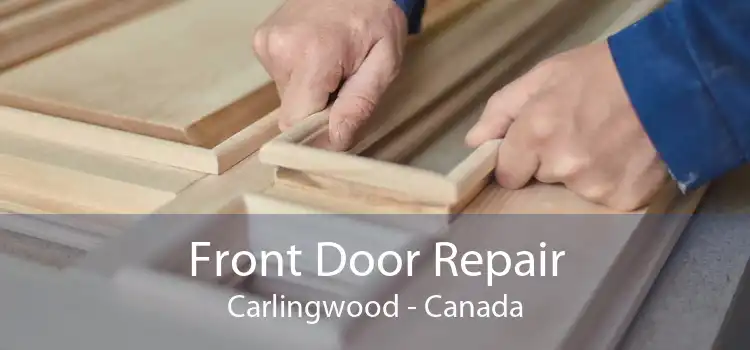 Front Door Repair Carlingwood - Canada
