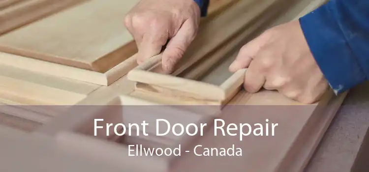 Front Door Repair Ellwood - Canada