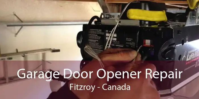 Garage Door Opener Repair Fitzroy - Canada