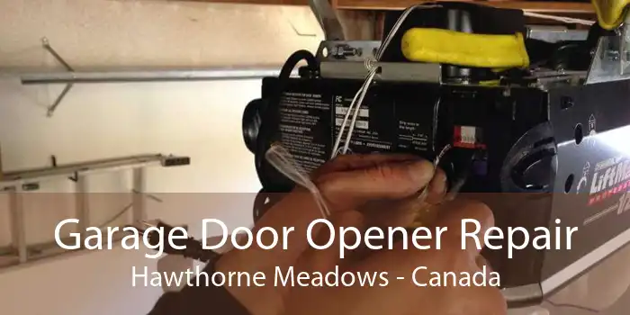 Garage Door Opener Repair Hawthorne Meadows - Canada