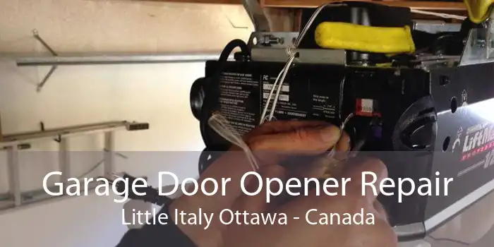 Garage Door Opener Repair Little Italy Ottawa - Canada