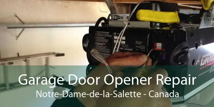Garage Door Opener Repair Notre-Dame-de-la-Salette - Canada