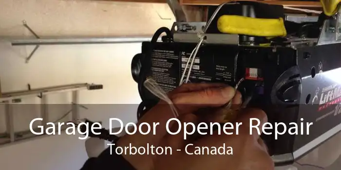 Garage Door Opener Repair Torbolton - Canada