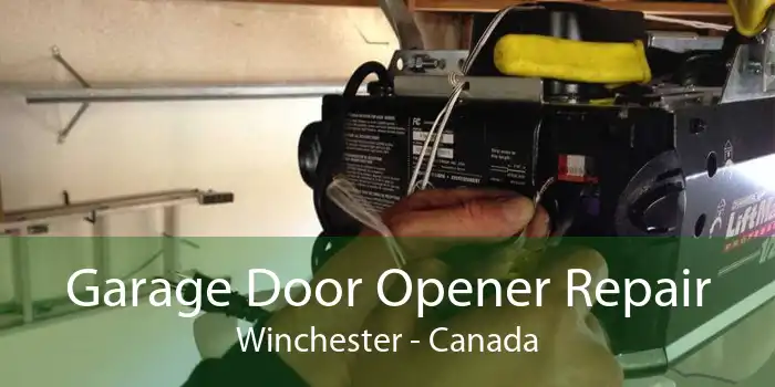Garage Door Opener Repair Winchester - Canada
