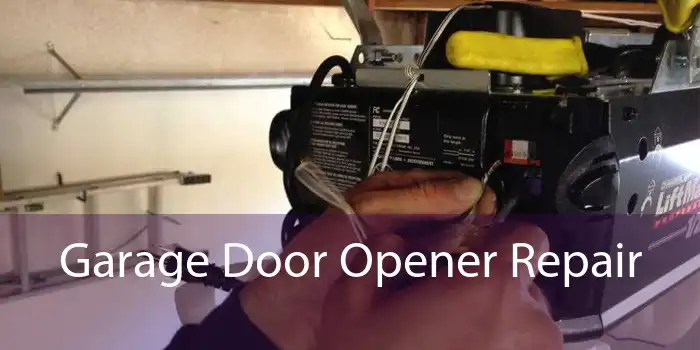 Garage Door Opener Repair