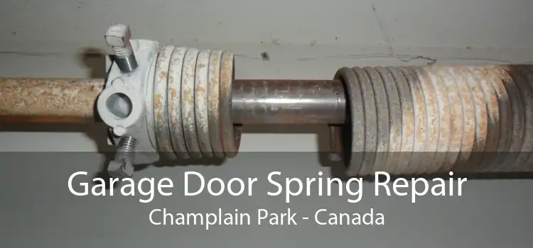 Garage Door Spring Repair Champlain Park - Canada