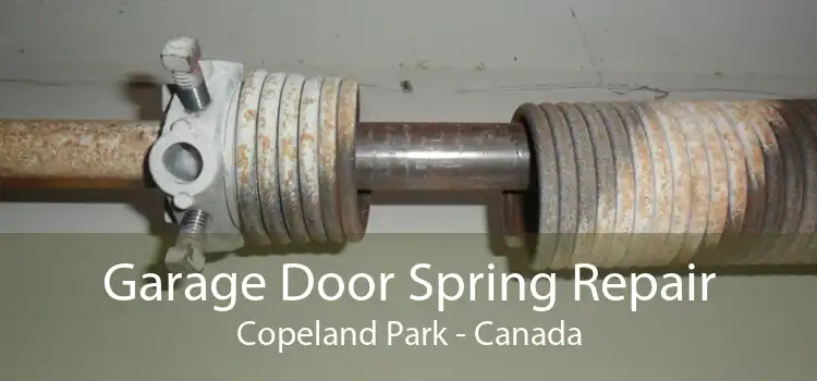 Garage Door Spring Repair Copeland Park - Canada