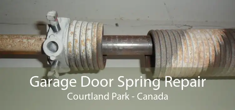 Garage Door Spring Repair Courtland Park - Canada