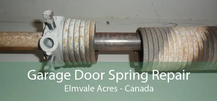 Garage Door Spring Repair Elmvale Acres - Canada