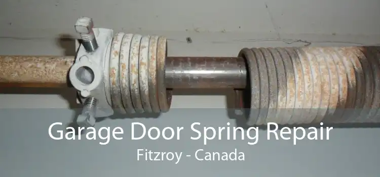 Garage Door Spring Repair Fitzroy - Canada