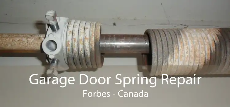 Garage Door Spring Repair Forbes - Canada