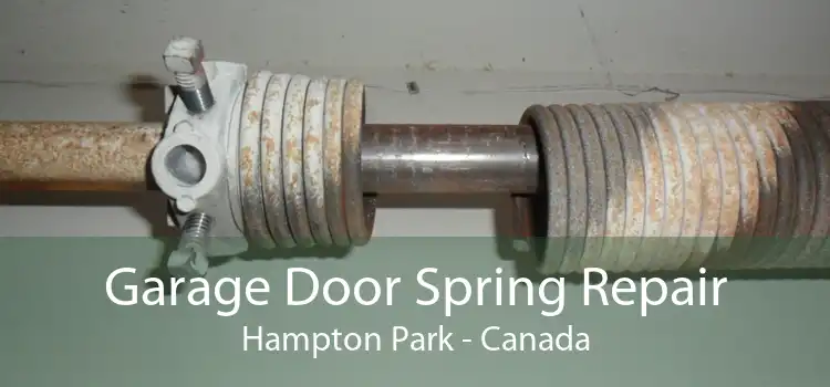 Garage Door Spring Repair Hampton Park - Canada