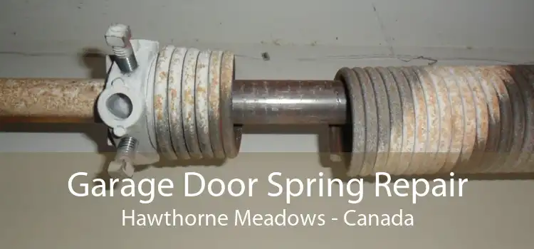Garage Door Spring Repair Hawthorne Meadows - Canada