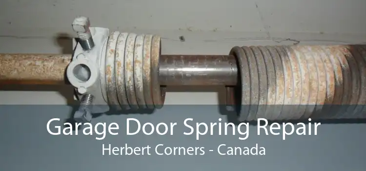 Garage Door Spring Repair Herbert Corners - Canada