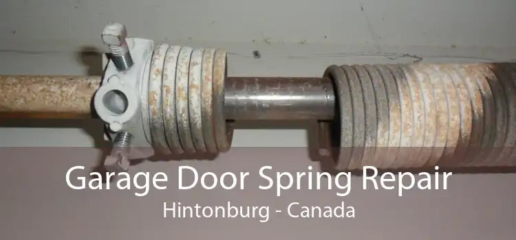 Garage Door Spring Repair Hintonburg - Canada