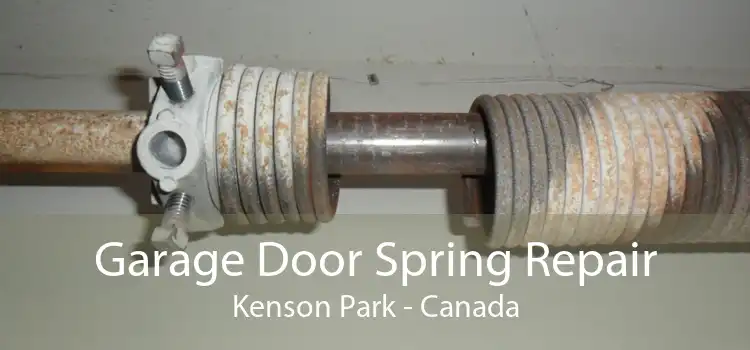 Garage Door Spring Repair Kenson Park - Canada