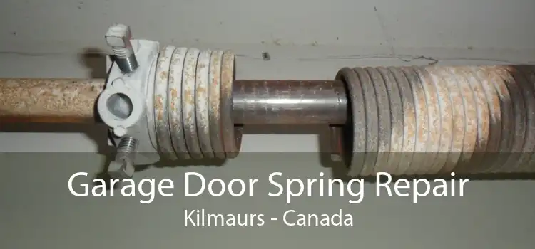 Garage Door Spring Repair Kilmaurs - Canada