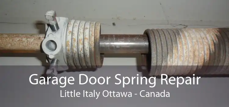 Garage Door Spring Repair Little Italy Ottawa - Canada