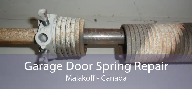 Garage Door Spring Repair Malakoff - Canada