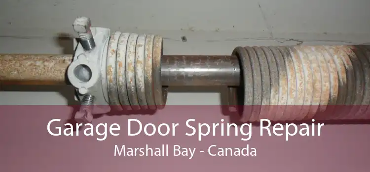 Garage Door Spring Repair Marshall Bay - Canada