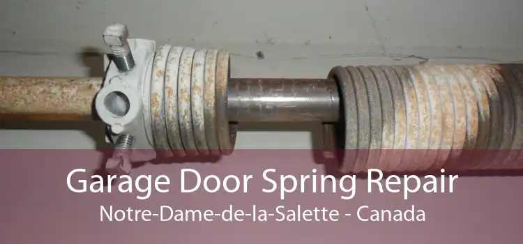 Garage Door Spring Repair Notre-Dame-de-la-Salette - Canada