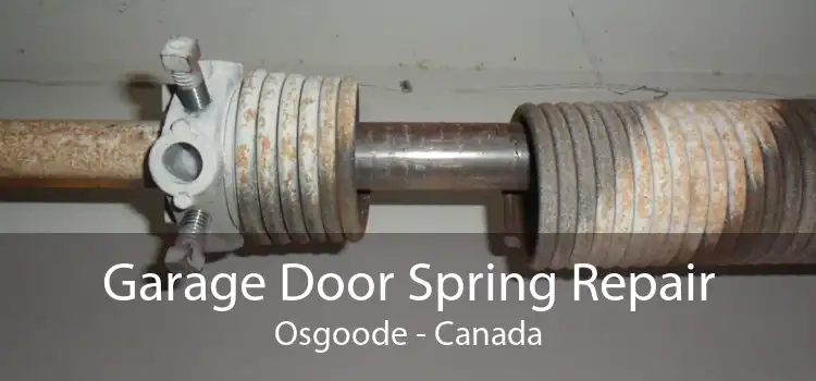 Garage Door Spring Repair Osgoode - Canada
