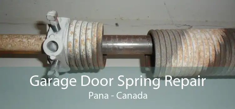 Garage Door Spring Repair Pana - Canada