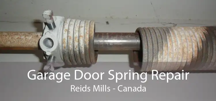 Garage Door Spring Repair Reids Mills - Canada