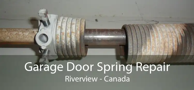 Garage Door Spring Repair Riverview - Canada