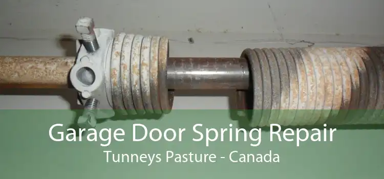 Garage Door Spring Repair Tunneys Pasture - Canada