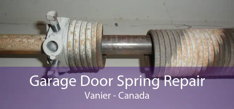 Garage Door Spring Repair Vanier - Canada