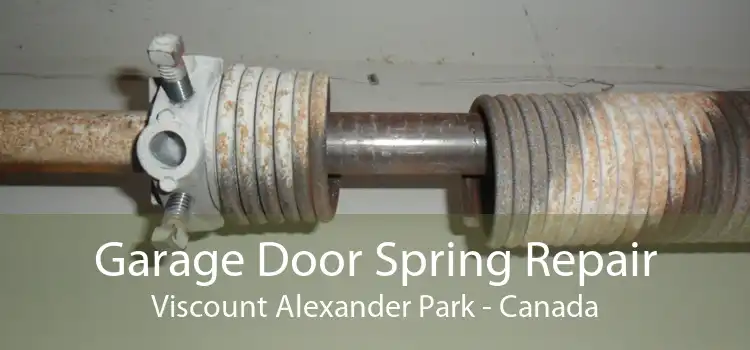 Garage Door Spring Repair Viscount Alexander Park - Canada