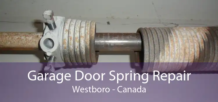 Garage Door Spring Repair Westboro - Canada