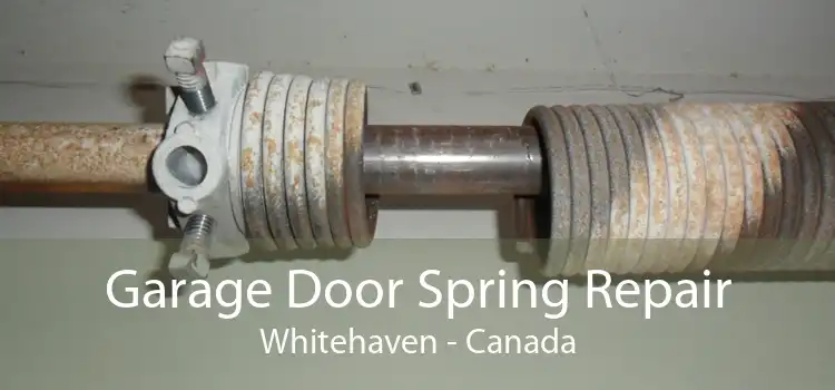 Garage Door Spring Repair Whitehaven - Canada