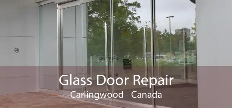 Glass Door Repair Carlingwood - Canada
