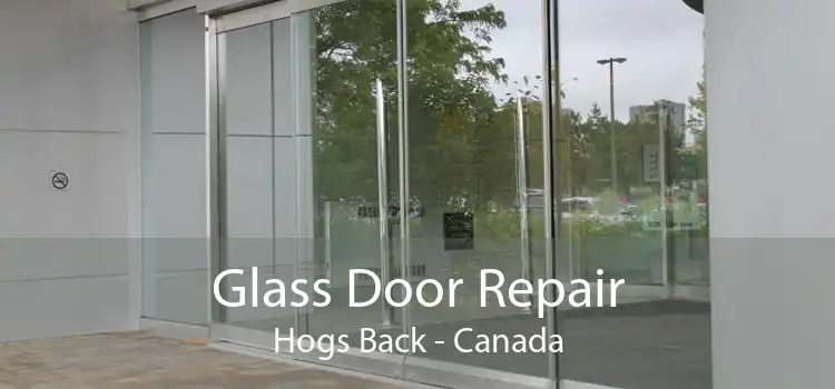Glass Door Repair Hogs Back - Canada