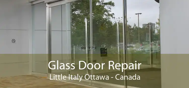 Glass Door Repair Little Italy Ottawa - Canada