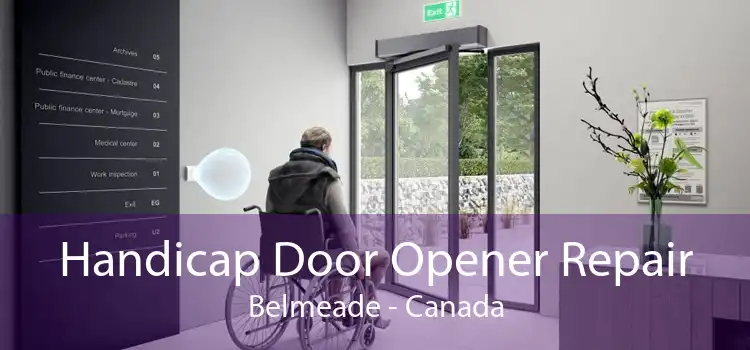 Handicap Door Opener Repair Belmeade - Canada