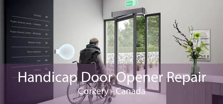 Handicap Door Opener Repair Corkery - Canada