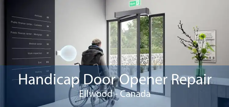 Handicap Door Opener Repair Ellwood - Canada