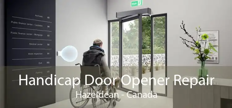 Handicap Door Opener Repair Hazeldean - Canada
