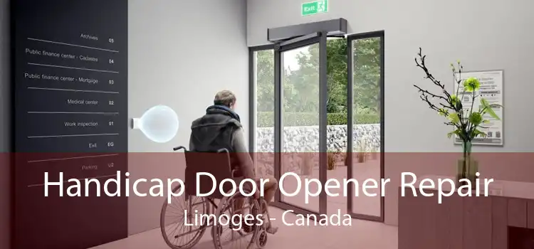 Handicap Door Opener Repair Limoges - Canada