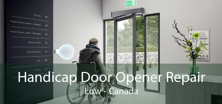 Handicap Door Opener Repair Low - Canada