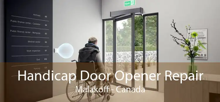 Handicap Door Opener Repair Malakoff - Canada