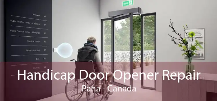 Handicap Door Opener Repair Pana - Canada