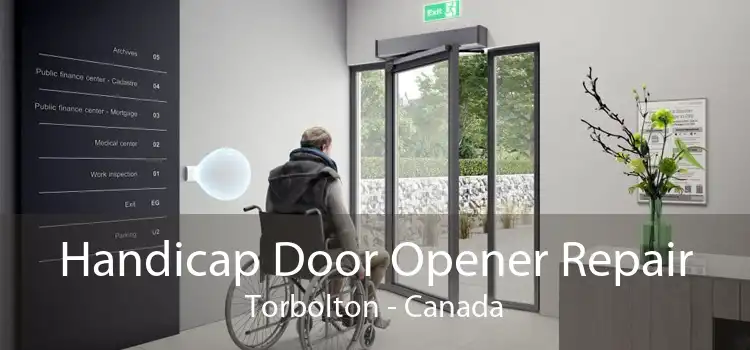 Handicap Door Opener Repair Torbolton - Canada
