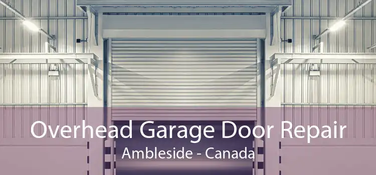 Overhead Garage Door Repair Ambleside - Canada