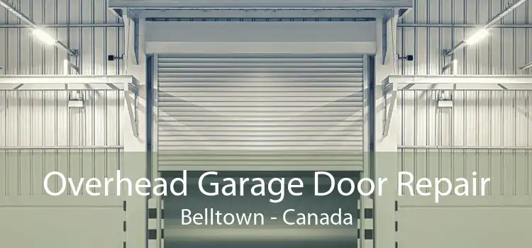 Overhead Garage Door Repair Belltown - Canada