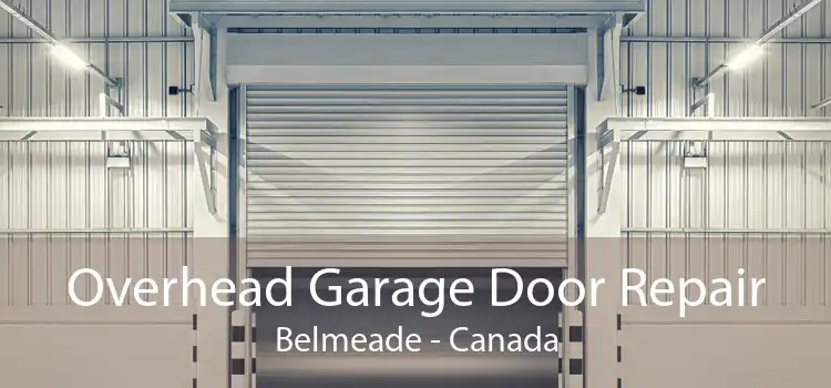 Overhead Garage Door Repair Belmeade - Canada